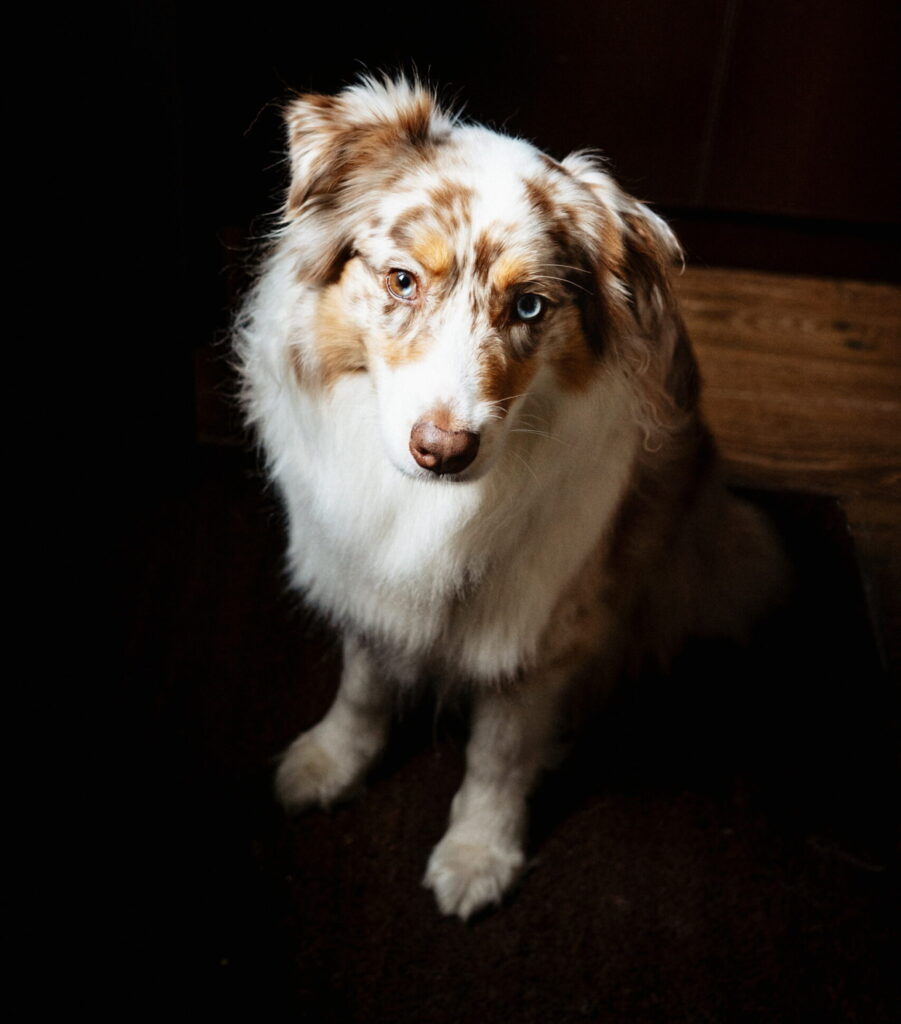 Photo de Riv - Laurine Mencias